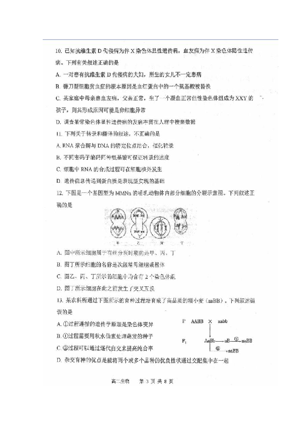 山西省临汾第一中学2018-2019学年高二下学期期末考试生物试题 扫描版含答案