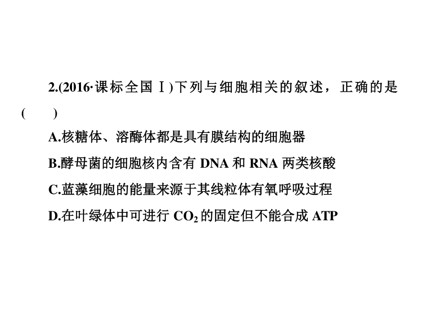 2018年高考生物二轮复习专题1组成细胞的分子课件(86张PPT)