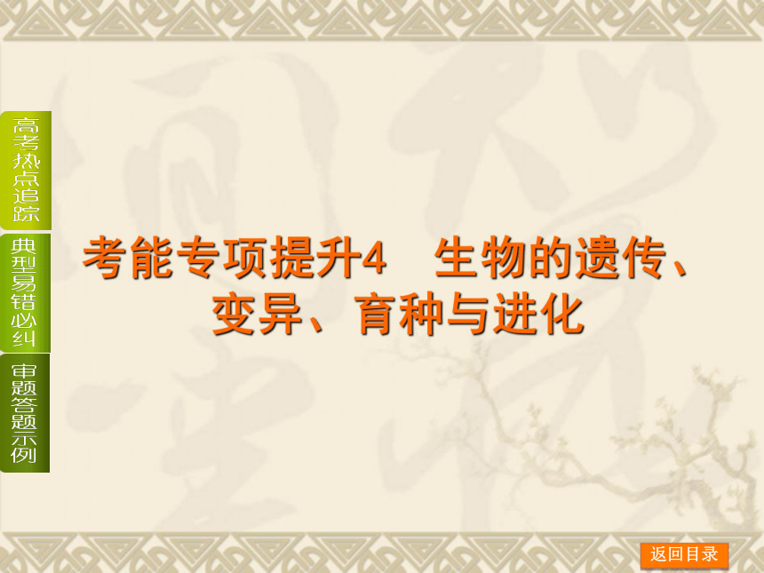 【新课标人教通用，一轮基础查漏补缺】考能专项提升4 生物的遗传、变异、育种与进化 （49ppt）