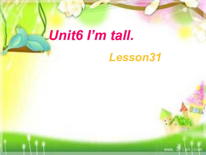 Unit 6  I’m tall.Lesson 31 课件（30张PPT）