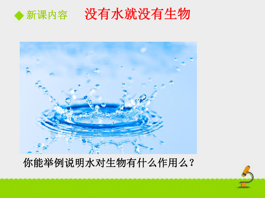 生物的生存依赖一定的环境课件