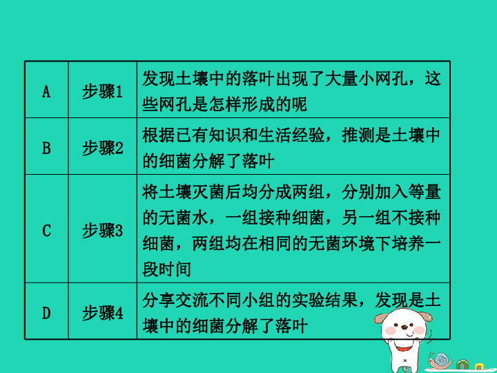 （东营专版）2019年中考生物专题一科学探究与生物体的结构层次复习课件（14张PPT）