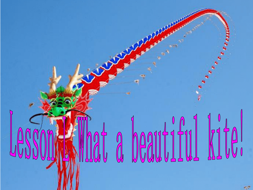 Lesson L What a beautiful kite! 课件