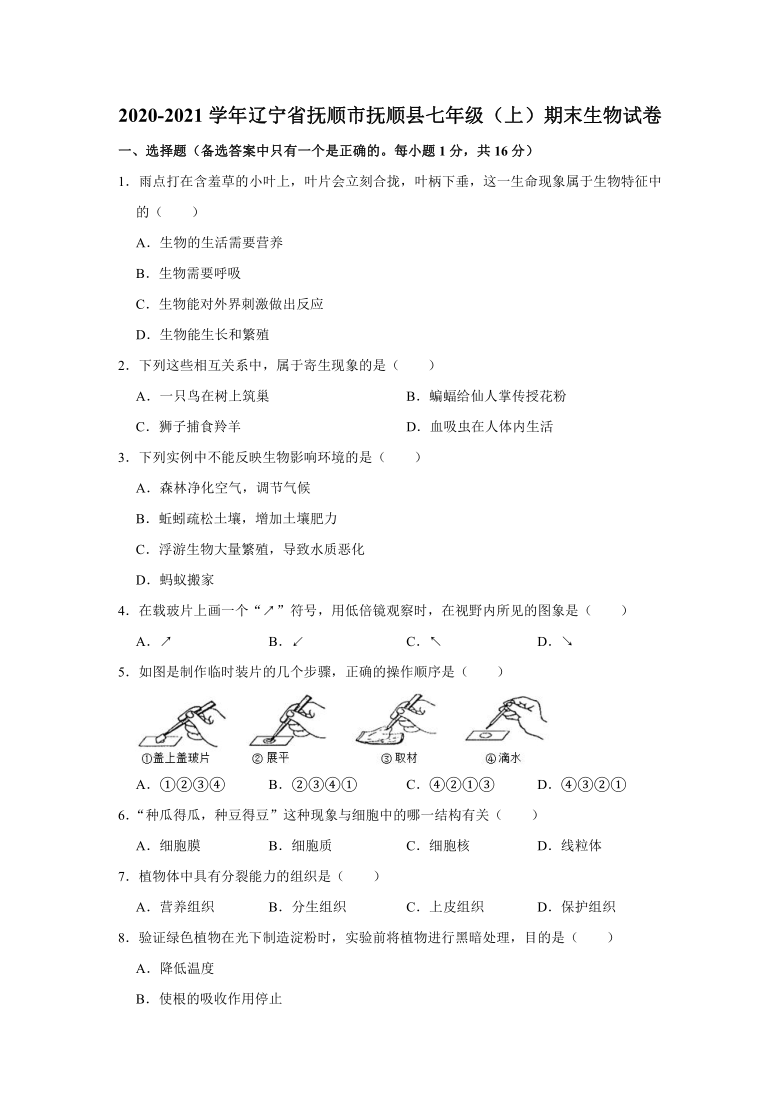 2020-2021学年辽宁省抚顺市抚顺县七年级（上）期末生物试卷 (word版含解析）