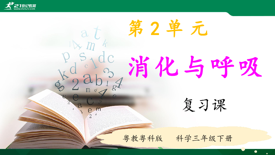 粤教粤科版科学三年级下册第2单元复习课件（31张PPT）