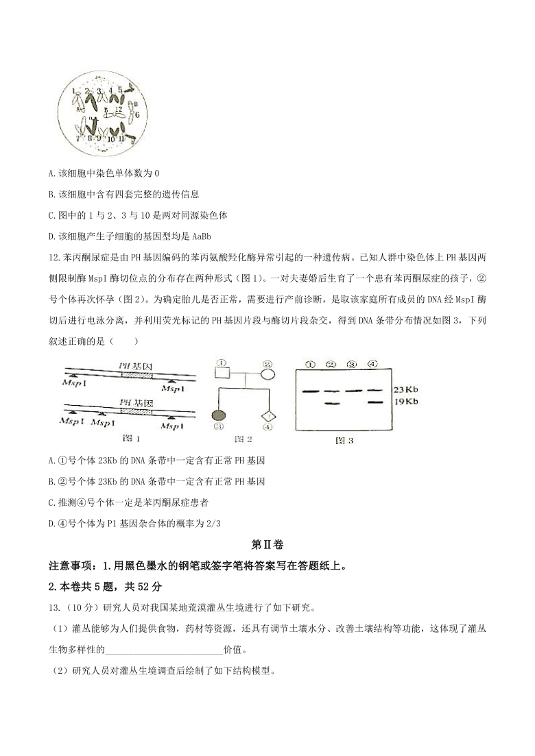 天津市十二区县重点学校2021届高三下学期毕业班联考模拟（一）生物试题    含答案