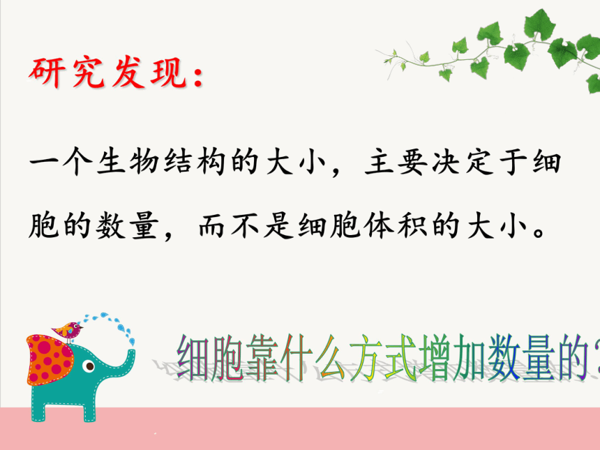 人教版 生物 七年级 上册 第二单元 第二章 第一节 细胞通过分裂产生新细胞课件（3１张ppt）