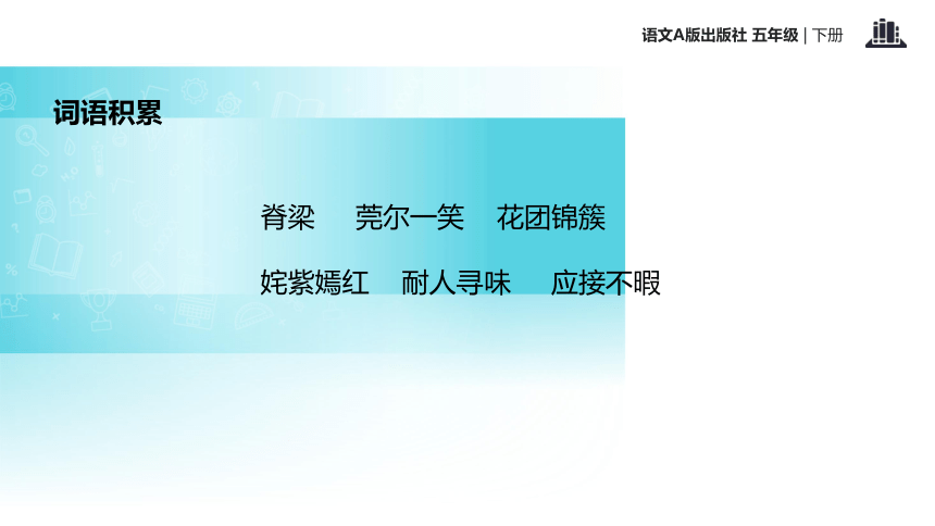 自己的花是给别人看的 (共16张PPT)