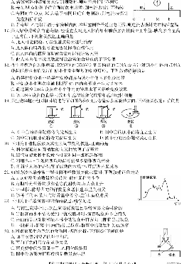 安徽省皖东县中联盟2018-2019学年高二下学期期末考试生物试题 PDF版含答案