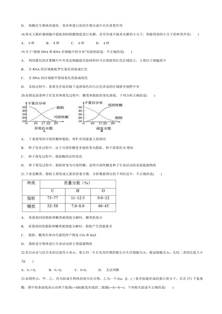 山东省滨州市邹平双语学校一二区2016-2017学年高二下学期期中考试生物试题