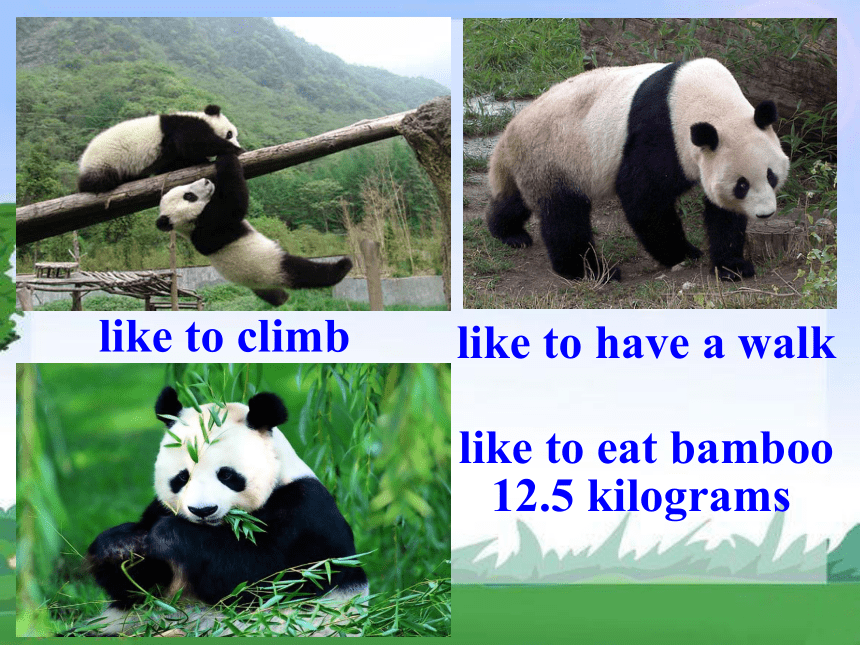 Module 6  Animals in danger.Unit 2 The WWF is working hard to save them all.教学课件