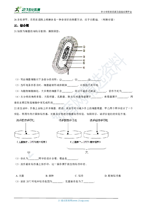 5.4 细菌和真菌 章末检测（解析版）