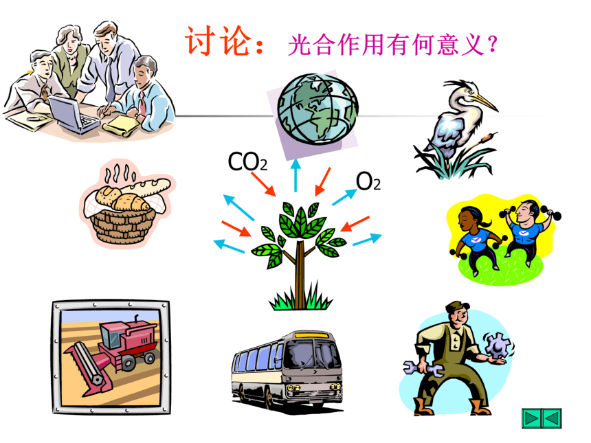 2017六年级科学上册第一章第3课植物的光合作用课件新人教版