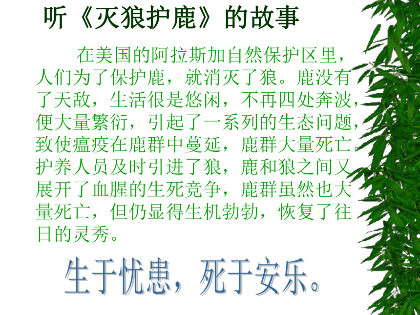 爱拼才会赢班会课件