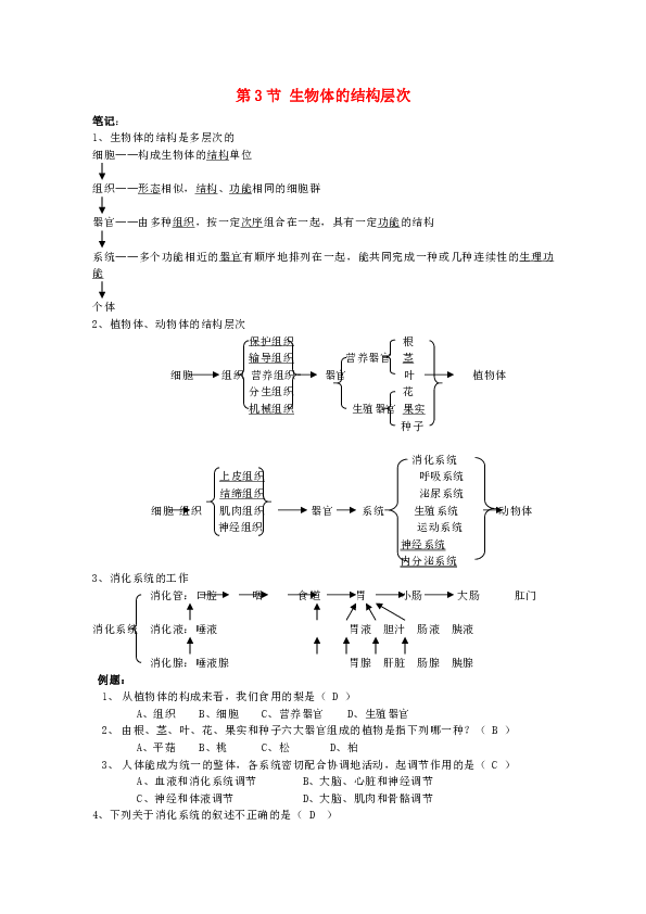 2.3 生物体的结构层次 学案（含答案）