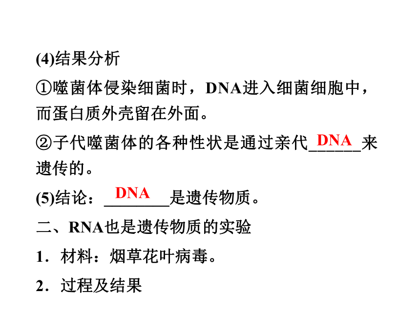 【2012优化方案 精品课件】北师大版 生物 必修2 第2章第2节 DNA贮存遗传信息