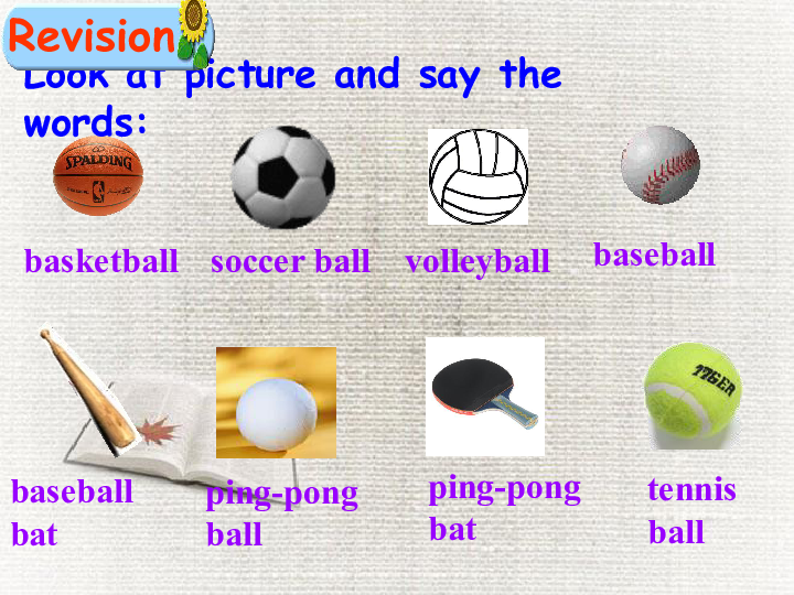 人教新目标版英语七年级上Unit 5 Do you have a soccer ball?Section A Grammar Focus-3c课件（39张PPT，无素材）