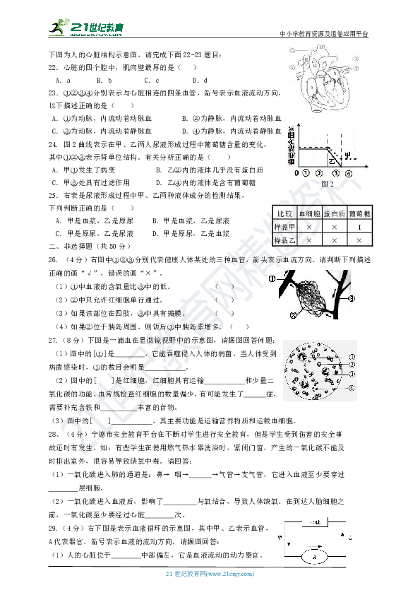 中考复习主题五   生物圈中的人（专项强化训练  含答案）