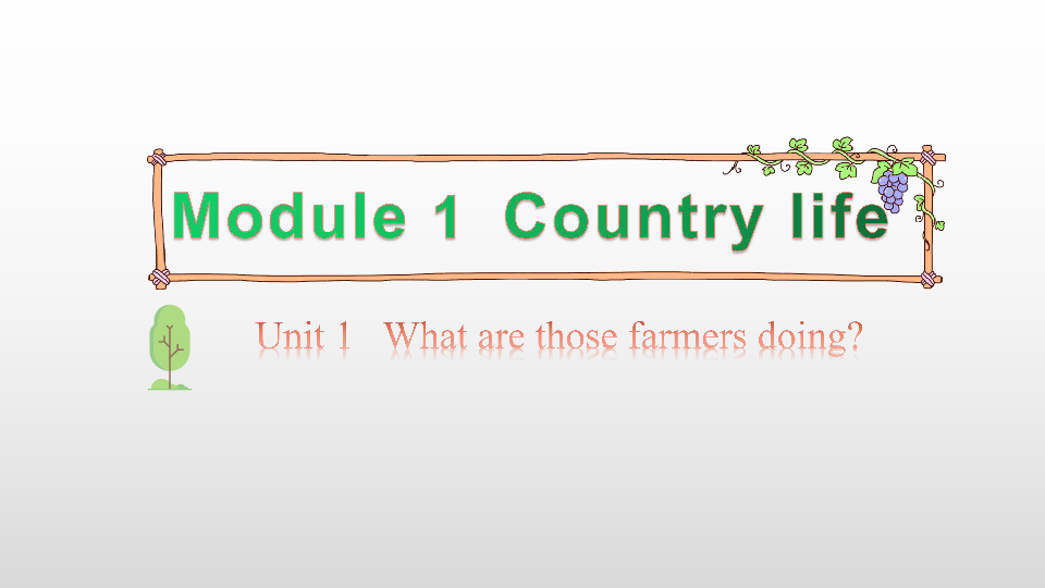 Module 1 Country life  Unit 1 What are those farmers doing 第1课时课件(共32张PPT)
