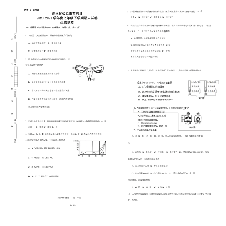 吉林省松原市前郭县2020-2021学年第二学期七年级生物期末试卷（word版，含答案）