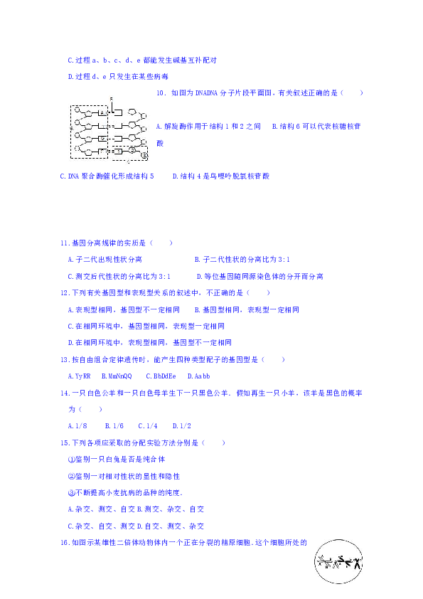 河北省滦州市第一中学2018-2019学年高一下学期期中考试生物试题