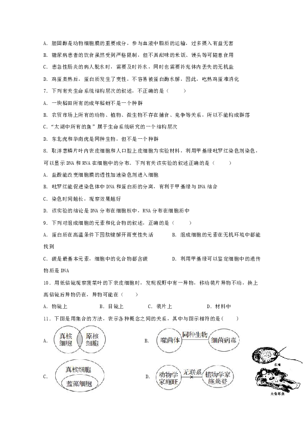 广东省北大附中深圳南山分校2019-2020学年高一上学期期中考试生物试题（答案带解析）