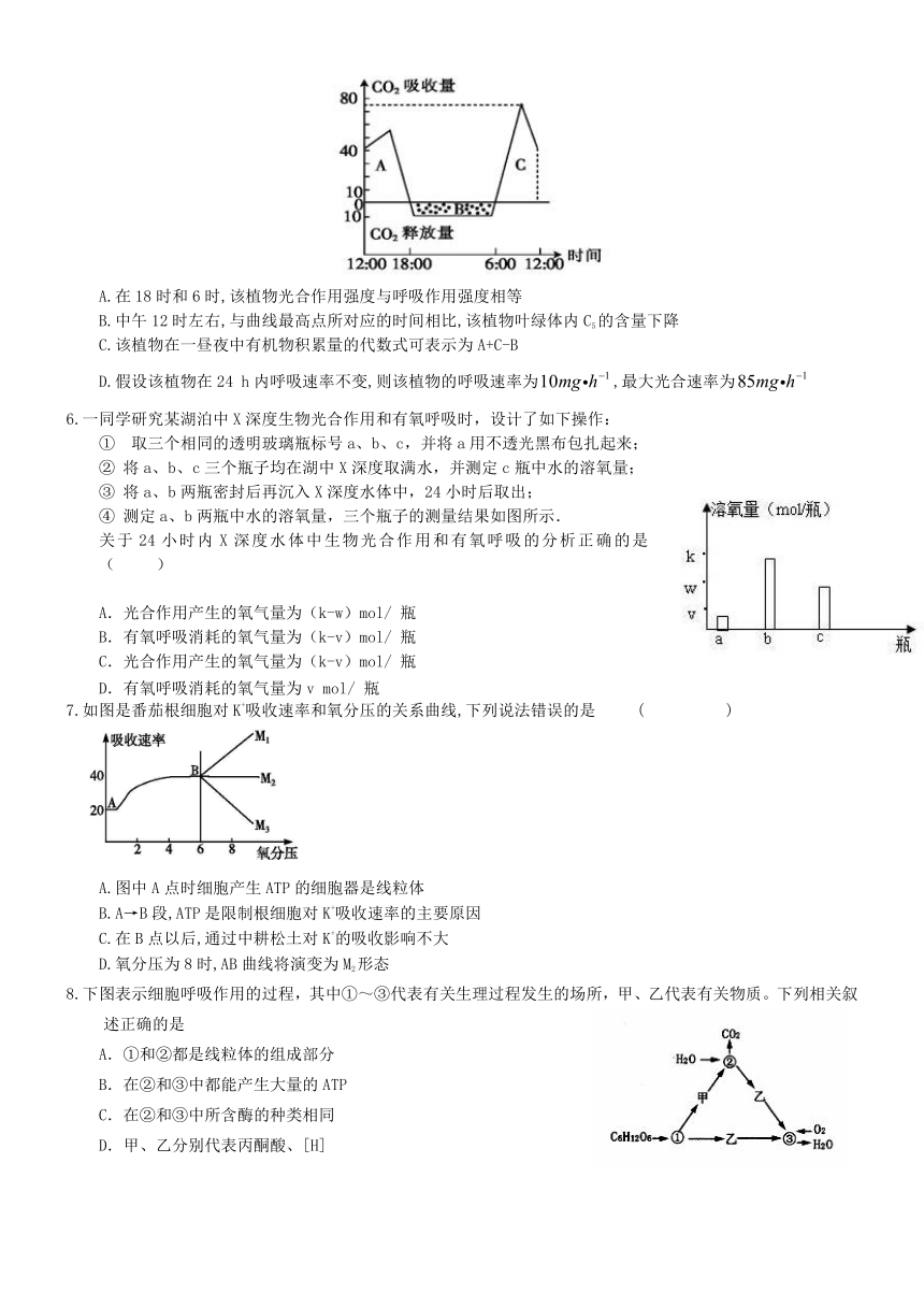 （衡水万卷）2016届高三生物二轮复习高考作业卷（含答案解析）作业（十） 细胞呼吸和光合综合二