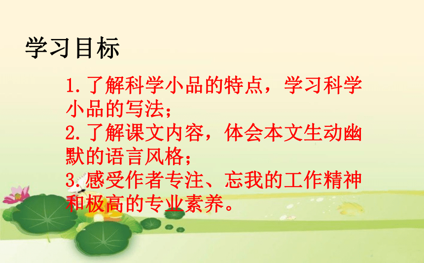 课件预览