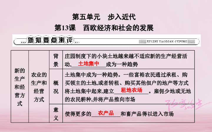 《步入近代》第13课西欧经济和社会的发展课时作业课件部编版