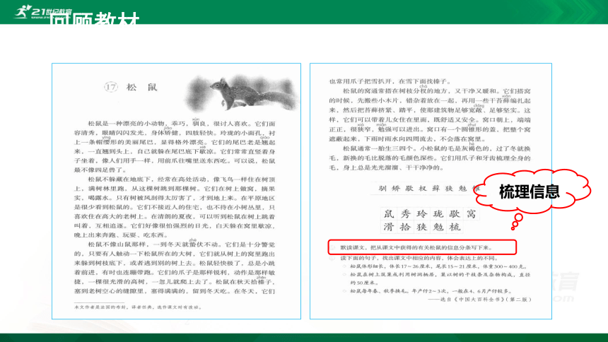 2021年小升初语文专项复习阅读技巧：2提取关键信息课件（23张PPT)