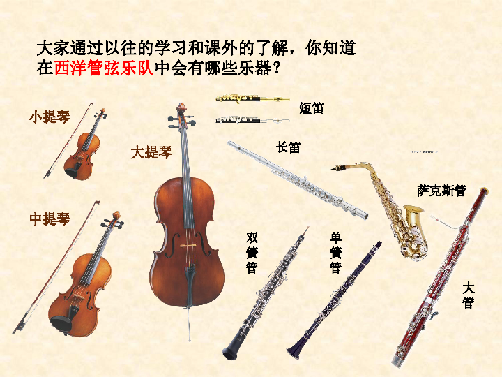 西洋管弦乐队分类图片