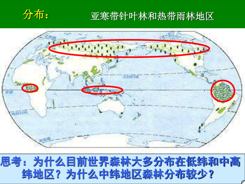 第二节森林的开发和保护课件（共56张PPT）