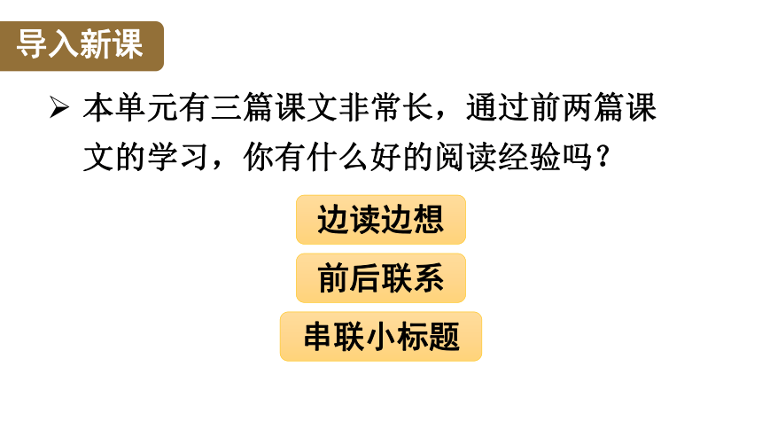 21蘆花鞋課件31張ppt