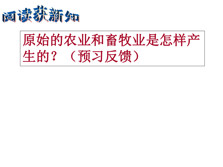 8.1.2 走访原始的农业聚落 课件