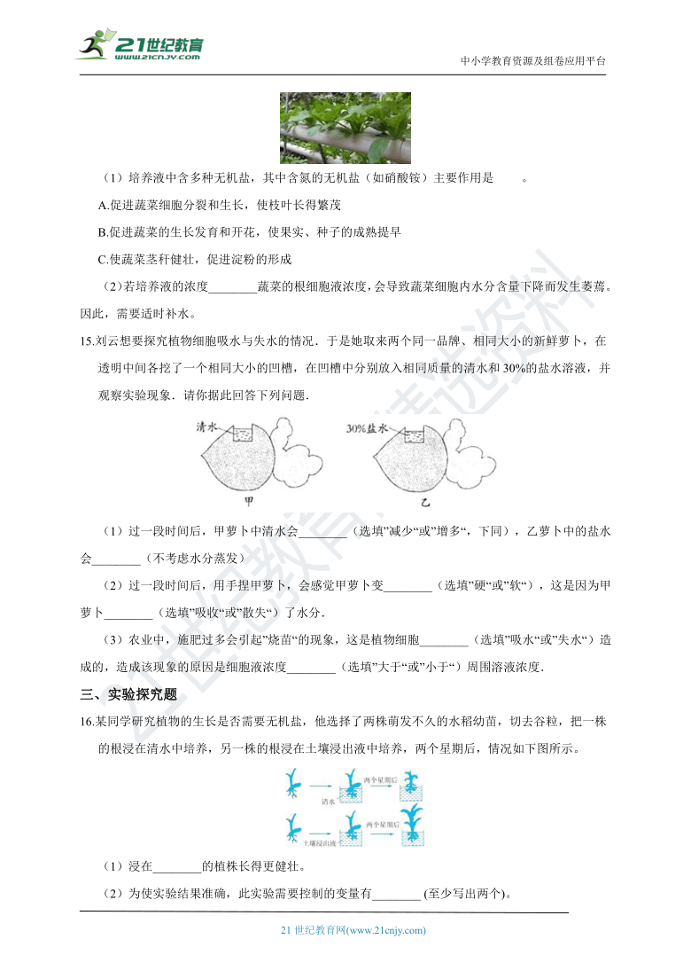 浙教版科学 八年级下 第四章 第3节 植物的根与物质吸收 同步练习（含解析）