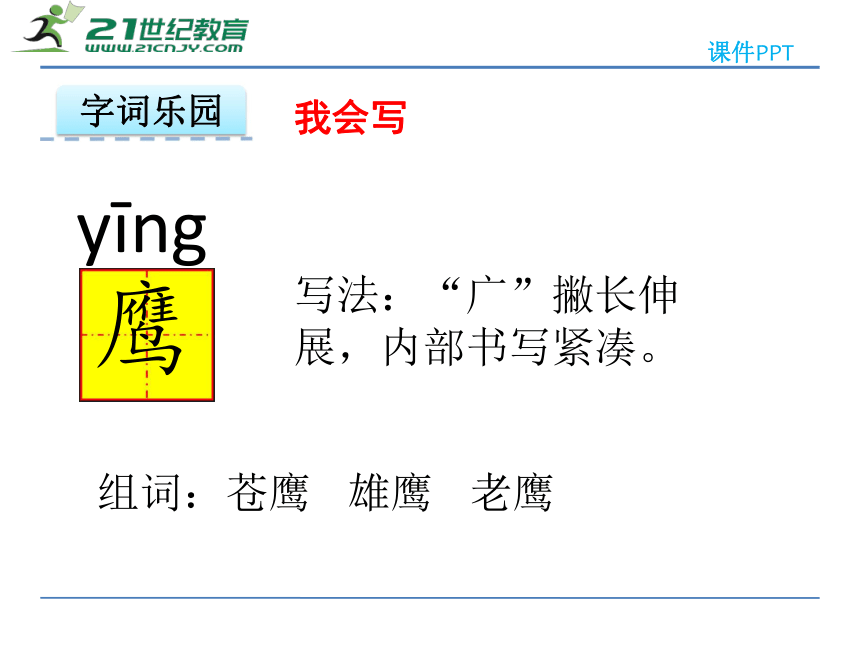 7.2 成吉思汗和鹰 课件