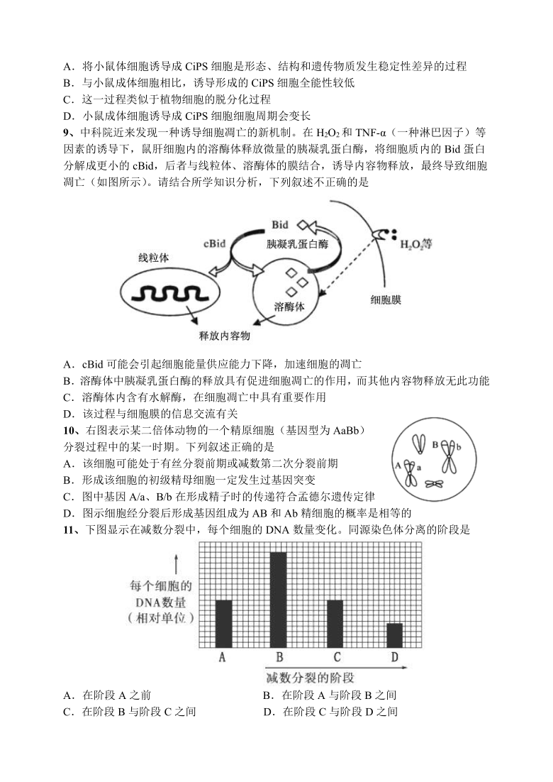 广东省深圳实验学校高中部2020-2021学年高一第二学期阶段考试生物试卷 Word版含答案