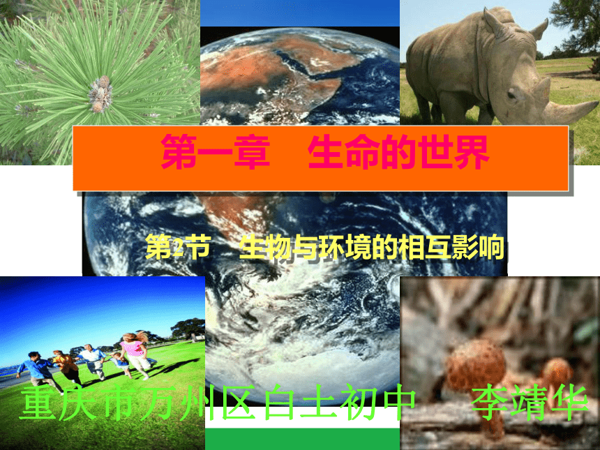 第一章 生命的世界 第二节 生物与环境的相互影响课件 （共99张PPT）