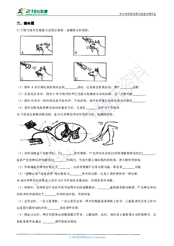 3.3 神经调节 第3课时 同步练习（解析版）