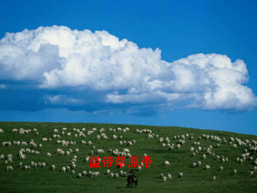 广东普宁二中2011地理高考一轮复习课件：草原退化及其防治专题（选修6）