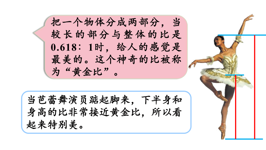 黄金比之美内容图片