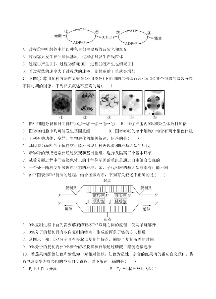 江苏东海教师进修学校2019届高三8月四校联考生物试题