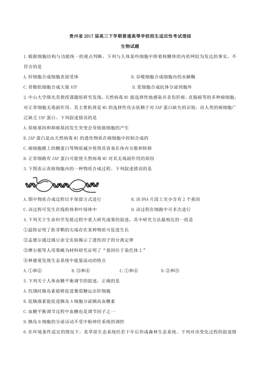 贵州省2017届高三下学期普通高等学校招生适应性考试理综生物试题