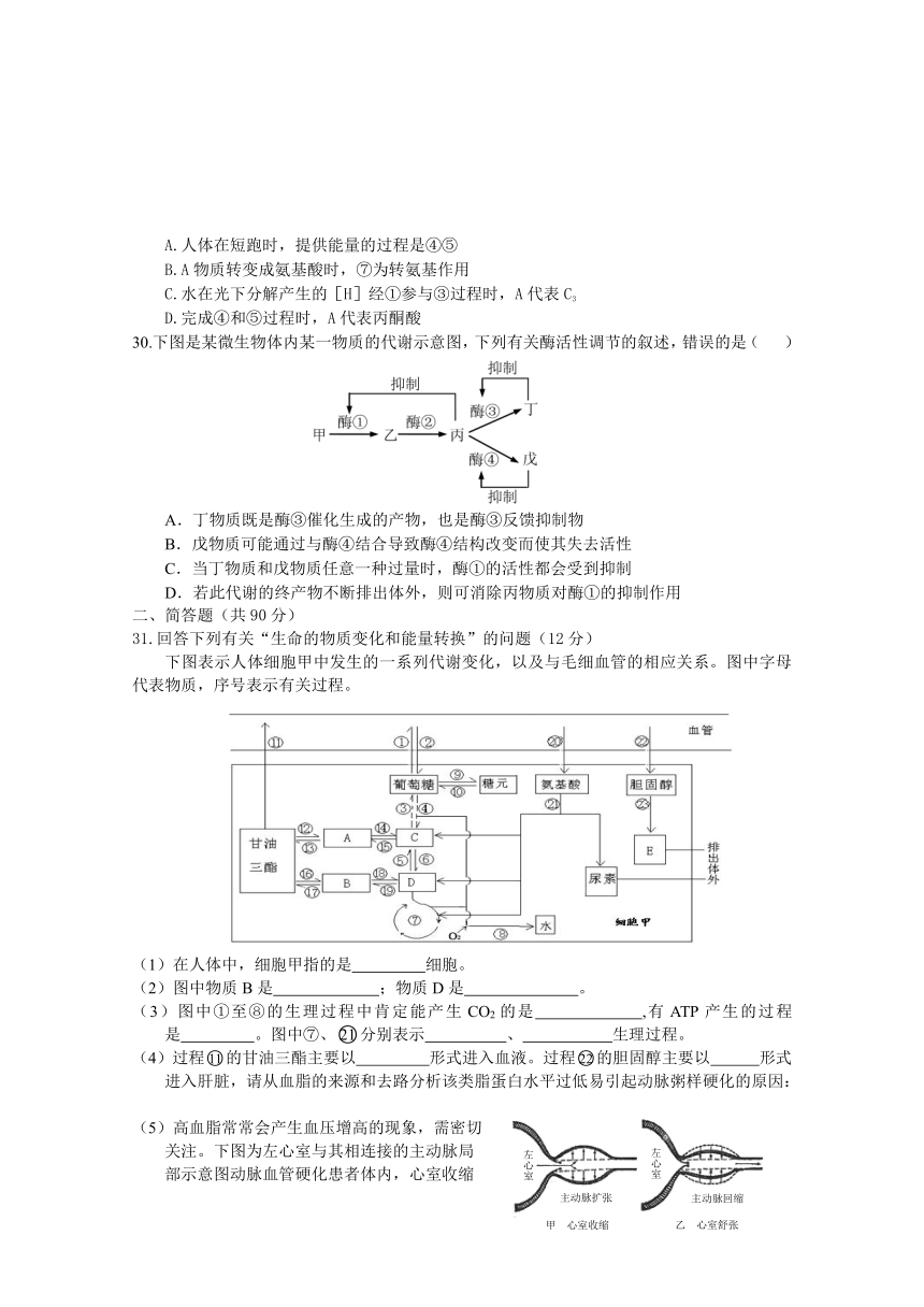 2017上海高考压轴卷 生物 （含解析）