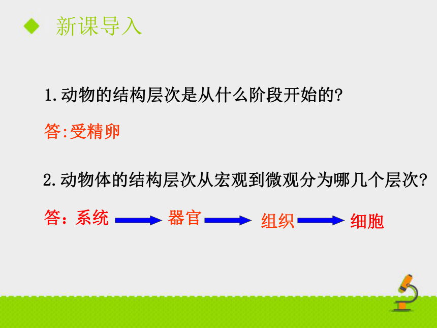 《植物体的结构层次》课件（18张PPT）