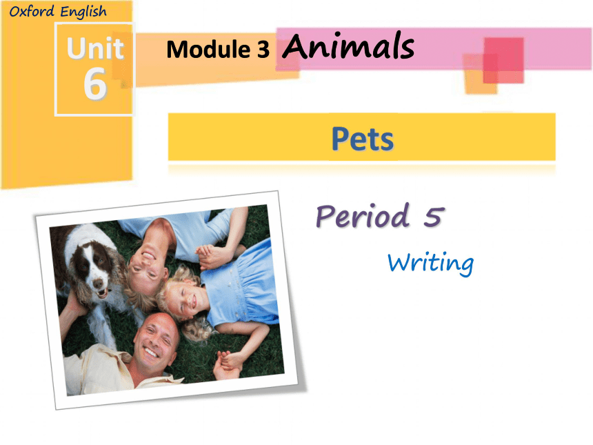 广东省深圳市Module 3 Unit 6 Pets Writing 课件