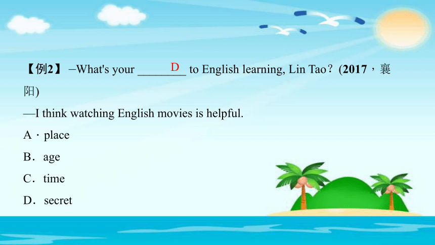 2018年聚焦新中考课件：第二轮语法考点聚焦名词和冠词