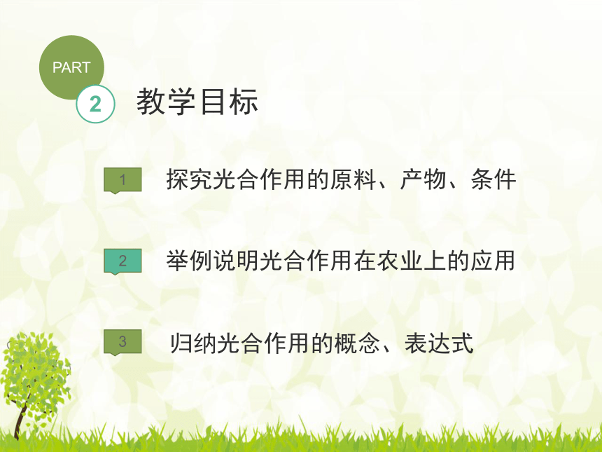 3.5.1光合作用吸收二氧化碳释放氧气说课课件(共14张PPT)