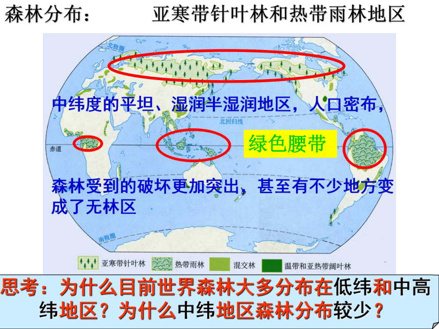 林带分布图图片