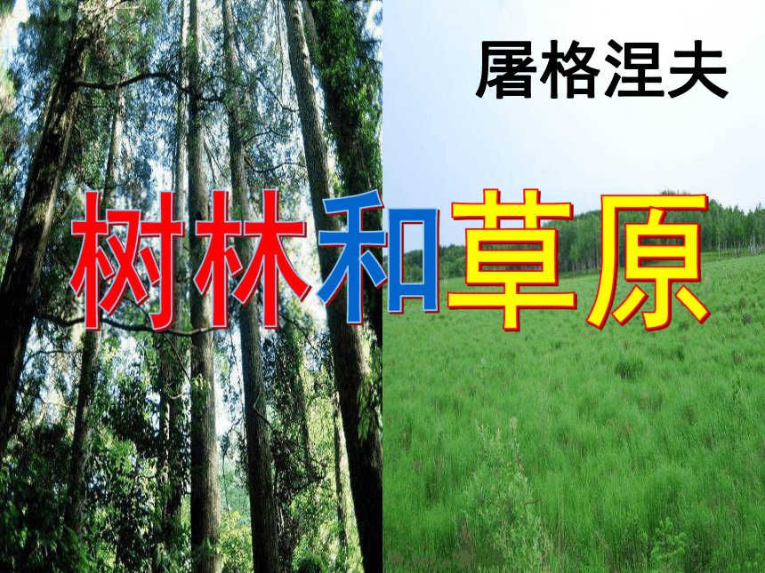 语文北师大版必修四1.2《树林和草原》课件（30张）
